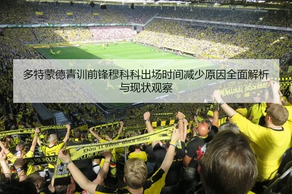 多特蒙德青训前锋穆科科出场时间减少原因全面解析与现状观察